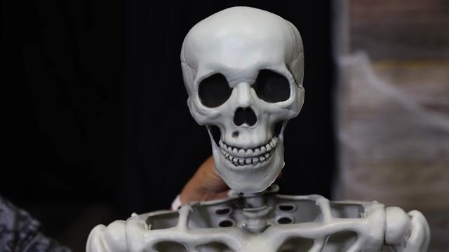 FUN2901 Georgie the Skeleton 5 Foot Posable Skeleton Decoration