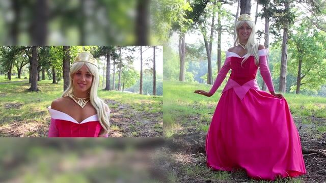 FUN4782AD Adult Premium Disney Aurora Sleeping Beauty Costume