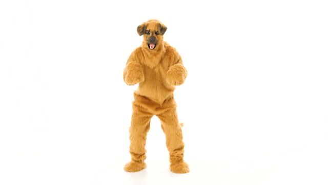 EL451706-ADST Dog Suit