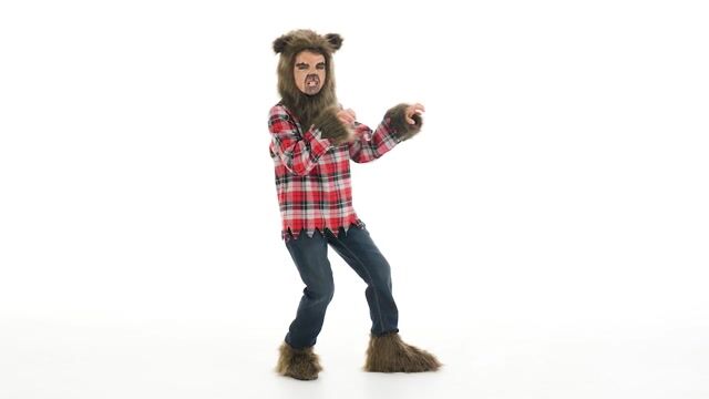 FUN2195CH_FIERCE WEREWOLF