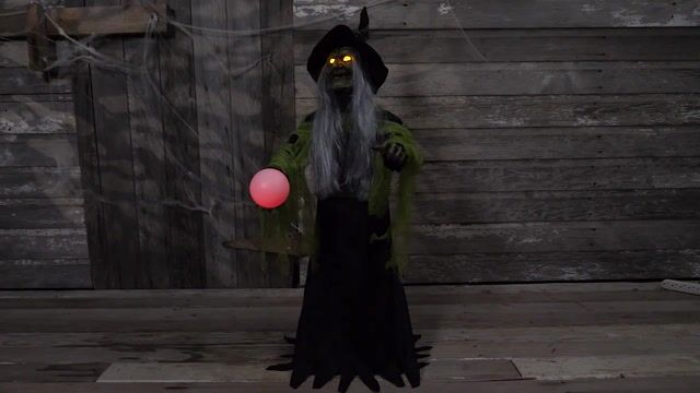 MOMR123485 Fortune Teller Witch