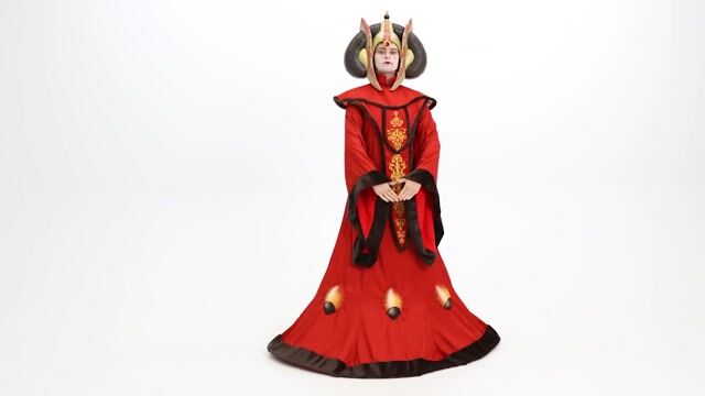 FUN96128AD Adult Queen Amidala