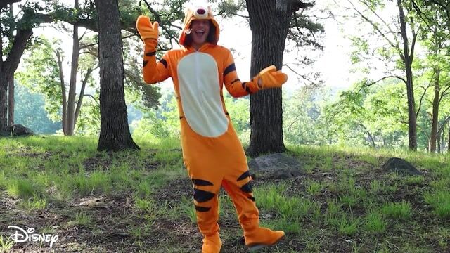 FUN4716AD Adult Deluxe Disney Tigger