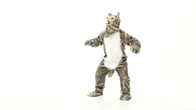 Everyone will be afraid of the Big Bad Wolf when you go all out in this Adult Wolf Costume with Mouth Mover Mask! Don't be scared to blow the 3 little pigs houses down!