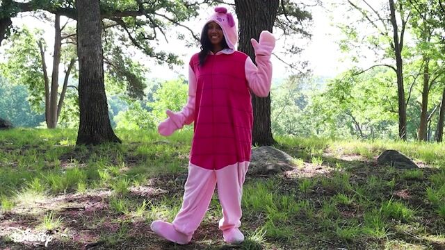 FUN4715AD Adult Deluxe Disney Piglet