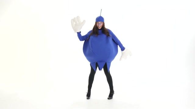 FUN2673AD Blueberry Costume