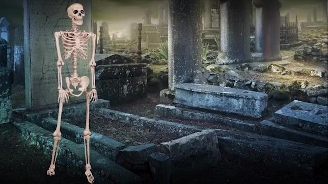 Your haunted house just got a little creepier when you use this lifesize poseable skeleton. This lifesize poseable skeleton is a must have house decoration for Halloween.