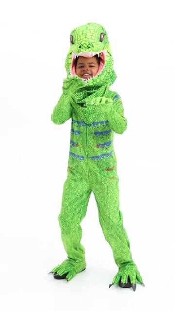 FUN3322CH Green Iguana Child Costume