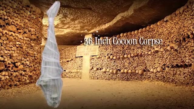 Do you really want to know what happened to the man in the cocoon? We don't. We don't want to know what person or ...thing was strong enough to kill a grown man. When we ship your 72in Cocoon Corpse, let sleeping dogs lie. Don't question what cause such a horrific...situation.