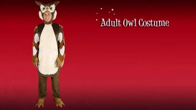 This Owl costume will let you be the wise master of the forest! Are you not really that wise? Don't worry, this costume will do all of the work for you!