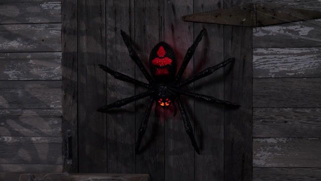 FUN4238Red Light Up Spider
