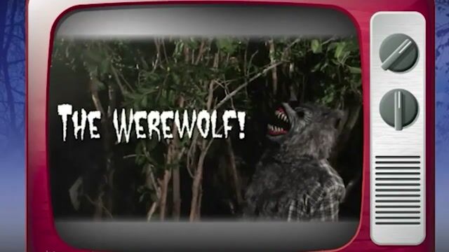 You won't need a full moon to transform into a werewolf with this scary halloween costume.  The outfit includes the shirt top with faux fur and an animotion mask that moves with your mouth.