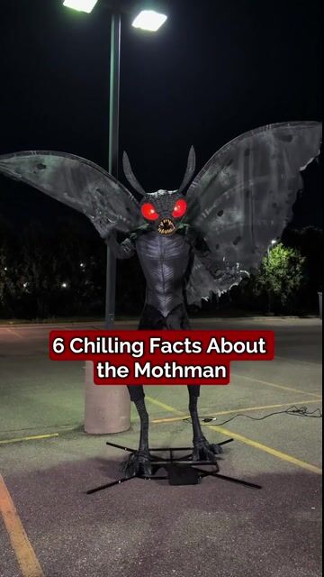 The legend comes to life! Standing at 11.5 feet tall, this Mothman animatronic features haunting lights, movement, and an ominous presence perfect for any paranormal-themed haunt.
