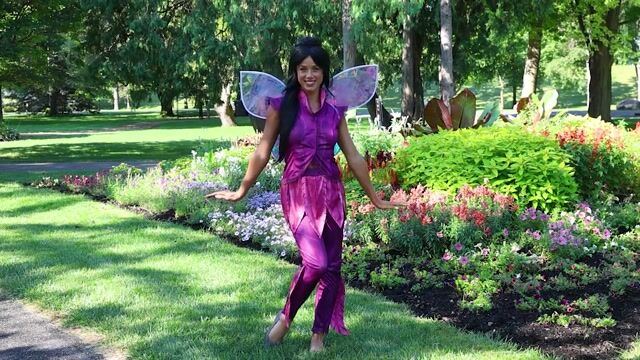 FUN4852AD_Disney Fairies Vidia