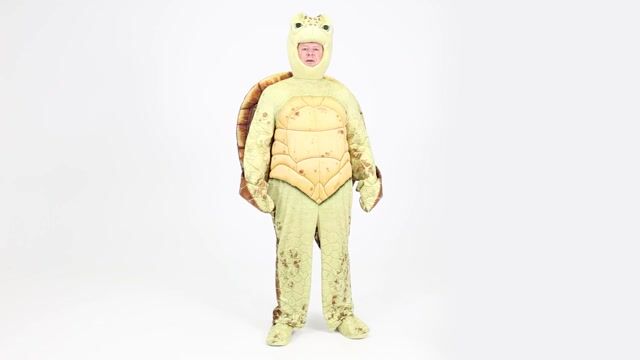 FUN7534PL_Men's Plus Size Disney and Pixar Finding Nemo Crush Costume