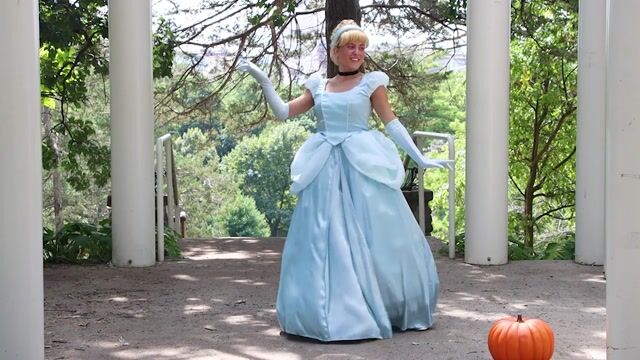 FUN3374AD Adult Premium Cinderella Costume