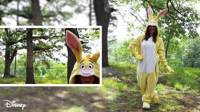 FUN4718AD Adult Deluxe Disney Rabbit