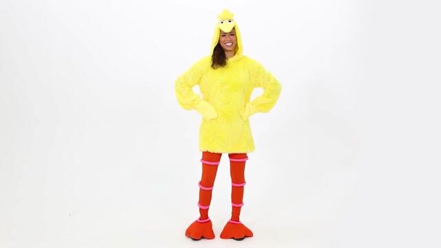 FUN2554AD Women's Sesame Street Cozy Big Bird