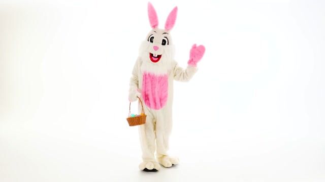 This Easter Bunny Mascot Costume is a high quality costume available at an affordable price!